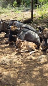 Kettie&Klip Self Catering Accommodation