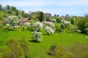 Ferienwohnung Vonwald - Michelbach