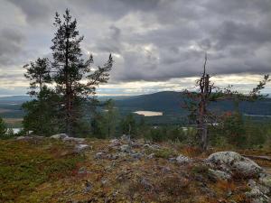 Levistar studio with sauna