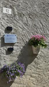 Dina’s Flower House