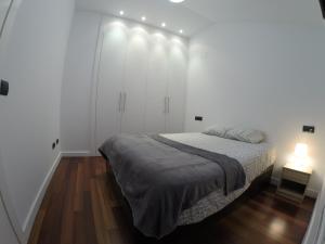 VUT Céntrica y Moderna