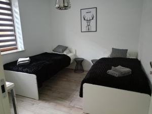 Apartament Fibra Americano