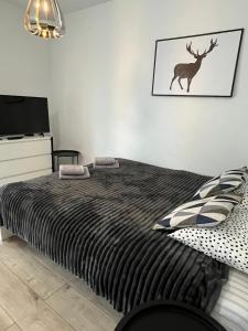 Apartament Fibra Americano