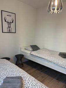 Apartament Fibra Americano