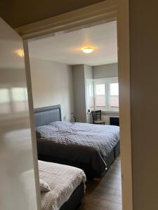 Provence Driehuis Apartment