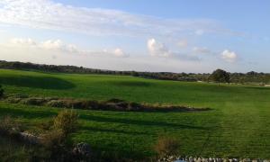 Dreibettzimmer mit Gartenblick