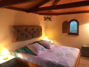 Un îlot tropical en Cévennes