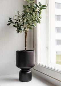 Snowlight Apartment By BookLapland