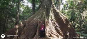 CAMUNGO jungle Lodge in indigenous communityINCLUSIVE
