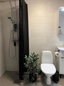 Apartment with sauna and backyard