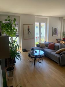 Beautiful Apartment in Central Zurich