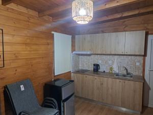 Eco Wooden Olympic view Village