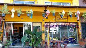 Dengba Hostel - Loikroh Chiangmai