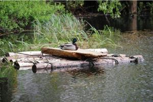 Lake view Dome Sleeps 6 -Hot tub -Fireplace