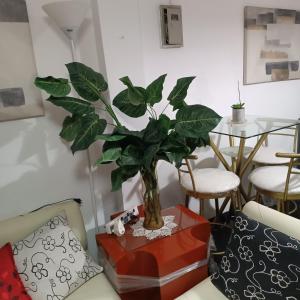 Mini Apartamentos La Mar