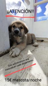 CASA DANIELA Apartamentos