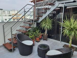 comfortable and economical room