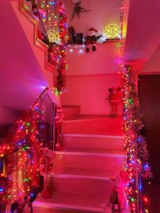 comfortable and economical room