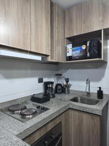 Apartment Amunategui, Santiago Centro