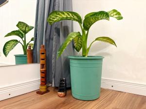 Loft con sala de ensayo exclusiva en Buenos Aires