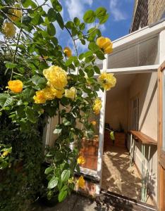 The Sandwich Hideaway