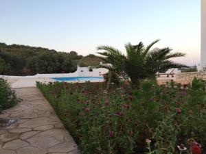 Cavo Plako Villas Lasithi Greece