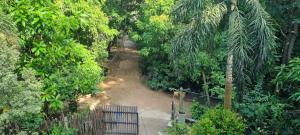 place of the jungle