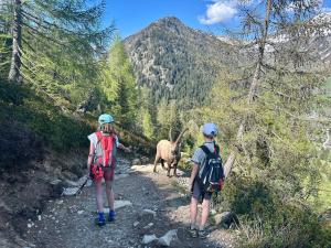 Chez Charles I Vallorcine Viachamonix