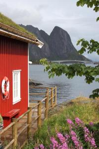 Exclusive Fishermans cabin in Reine