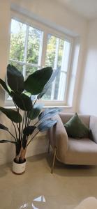 Rheintal Luxusresidenz in Röhndorf