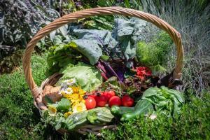 Niederhof - Urlaub auf dem Bauernhof