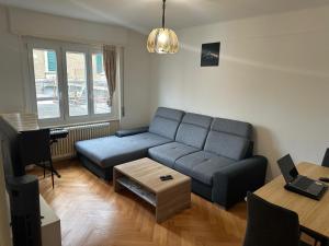 Renovated Apartment - Lausanne