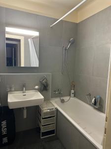 Renovated Apartment - Lausanne