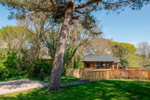 The Spinney Treehouse Park Facilities