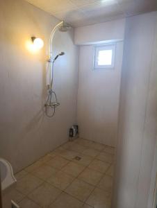 стаи за настаняване