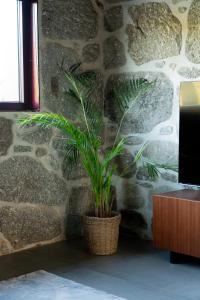 Casa Encosta do Monte