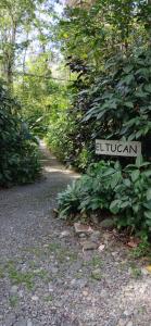 El Tucan Jungle Lodge