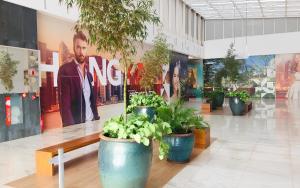 iFlat Lozandes Flamboyant Jardim Goiás