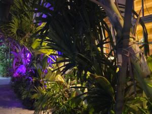 Fehivilla resistance