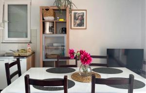 2 Bedroom Cozy Apartment In Maslenica