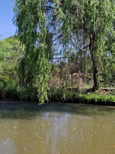 House of culture and meetings