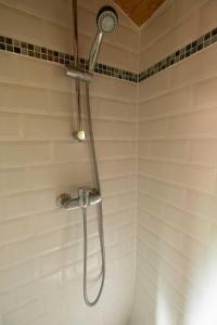 Ancolie - Nuits Bohèmes