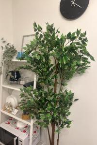 Panda Stay早稲田駅,早稲田大学徒歩1分,高田馬場エリア貸切部屋