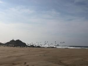 Casa Nisa l - Lovely 2BR beach home in Puertecito!