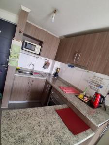 Departamento Parque OHiggins