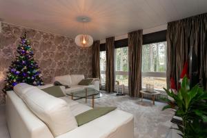 Arctic villa near Santa Park