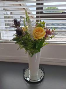 The Hilton Stay Cottages