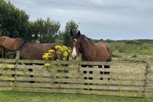 Chalet Sleeps 4 Near Cymyran Beach