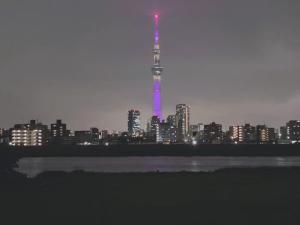 新建别墅民宿Asakusa秋葉原銀座上野東京空港无印良品风格单独洗漱台X2两个智能马桶X2