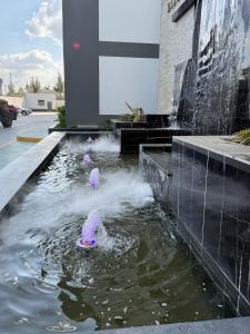 Modern Airport Studio Near JKIA, SGR, Nairobi Expy